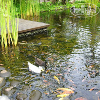 фото из отзыва ID 194070