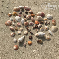 фото из отзыва ID 1940251