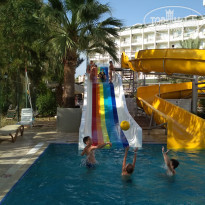 фото из отзыва ID 1940213