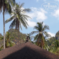 фото из отзыва ID 1940239