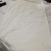 фото из отзыва ID 1940239