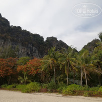 фото из отзыва ID 1940239