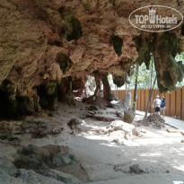 фото из отзыва ID 1940239