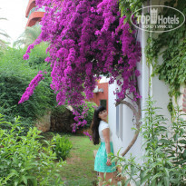 фото из отзыва ID 1940306