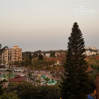 фото из отзыва ID 1940362