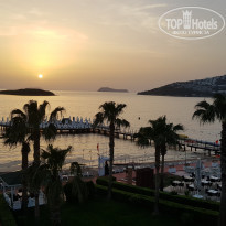 фото из отзыва ID 1940563