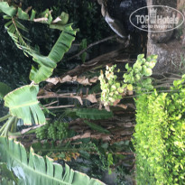 фото из отзыва ID 1940606