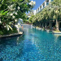 фото из отзыва ID 1940579