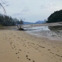 фото из отзыва ID 1940801