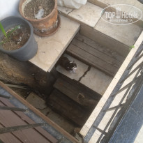 фото из отзыва ID 1940814