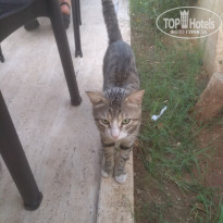 фото из отзыва ID 1940814