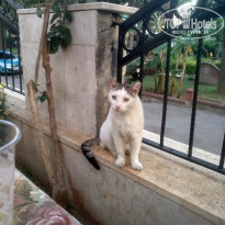 фото из отзыва ID 1940814