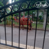 фото из отзыва ID 1940814