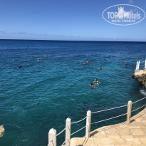 фото из отзыва ID 1940897