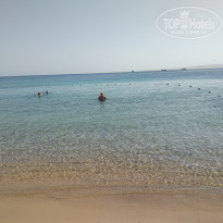 фото из отзыва ID 1941034