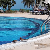 фото из отзыва ID 1941059