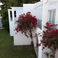 фото из отзыва ID 1941127