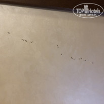 фото из отзыва ID 1941325