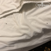 фото из отзыва ID 1941325