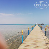 фото из отзыва ID 1941043