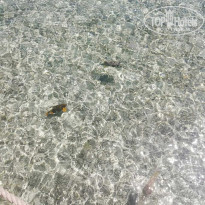 фото из отзыва ID 1941043