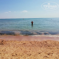 фото из отзыва ID 1941043