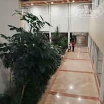 фото из отзыва ID 1940456