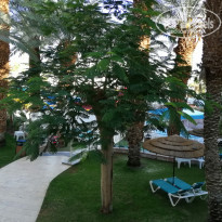 фото из отзыва ID 1940456