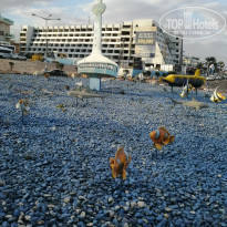 фото из отзыва ID 1940456