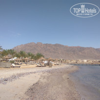 фото из отзыва ID 1941673