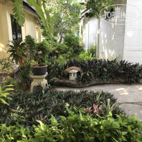 фото из отзыва ID 1941717