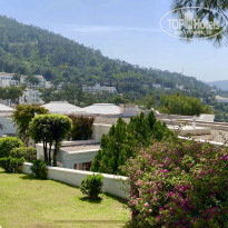 фото из отзыва ID 1940726