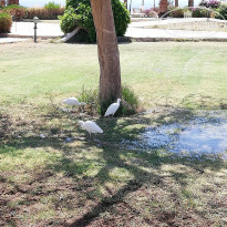 фото из отзыва ID 1941776