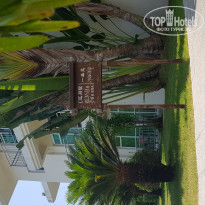 фото из отзыва ID 1941841