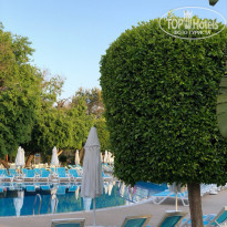 фото из отзыва ID 1942013