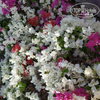 фото из отзыва ID 1942077