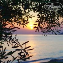 фото из отзыва ID 1942082