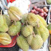 фото из отзыва ID 1942113