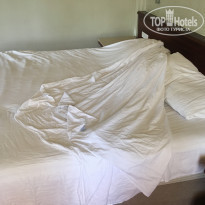 фото из отзыва ID 1942117