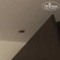 фото из отзыва ID 1942142