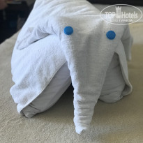 фото из отзыва ID 1941866