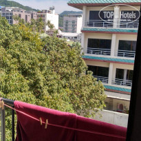 фото из отзыва ID 1942174