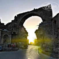 фото из отзыва ID 1942281