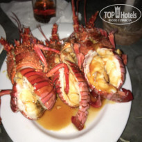 фото из отзыва ID 1942364