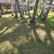 фото из отзыва ID 1941585