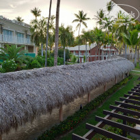 фото из отзыва ID 1941585