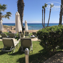 фото из отзыва ID 1942374