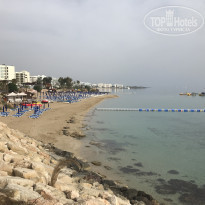 фото из отзыва ID 1942374