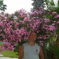 фото из отзыва ID 1942372