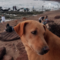 фото из отзыва ID 1941494